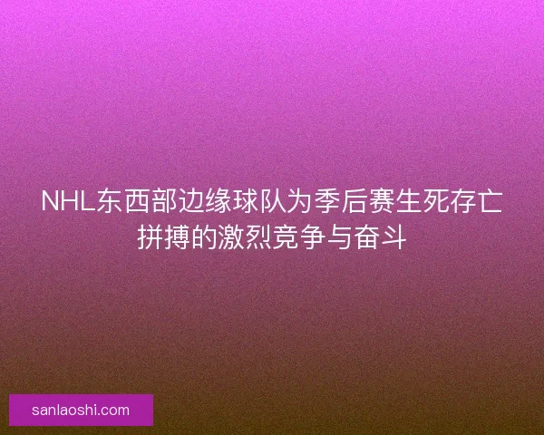 NHL东西部边缘球队为季后赛生死存亡拼搏的激烈竞争与奋斗