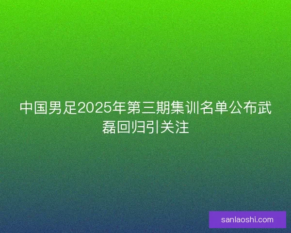 中国男足2025年第三期集训名单公布武磊回归引关注